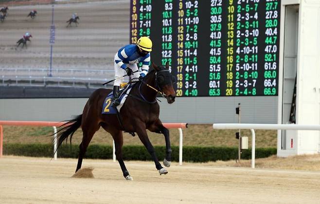 경주마 판타스틱밸류.