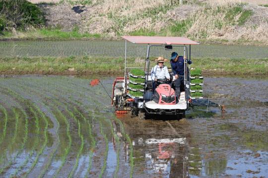 이용록 군수가 29일 홍성읍 소향리에서 2025년 첫 모내기를 하고 있다. 홍성군 제공.