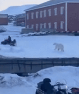 ⓒ뉴욕포스트 갈무리