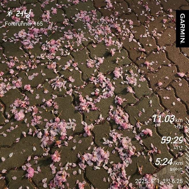 0abcc22becdc1ba960b1d3b602ee766d17c81016ef6211c11c5725d3ff8e169b3e0f4ff1b16a63121226af3f3ee3