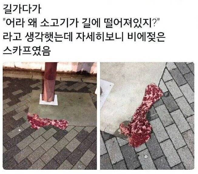 길에다 누가 소고기 버리고 갔다.jpg