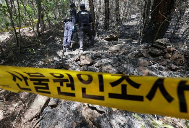지난달 30일 대구 북구 노곡동 산불 최초 발화 추정지에서 산림청, 경찰, 소방 당국 등 유관 기관 관계자들이 현장 감식을 하고 있다. 대구=연합뉴스