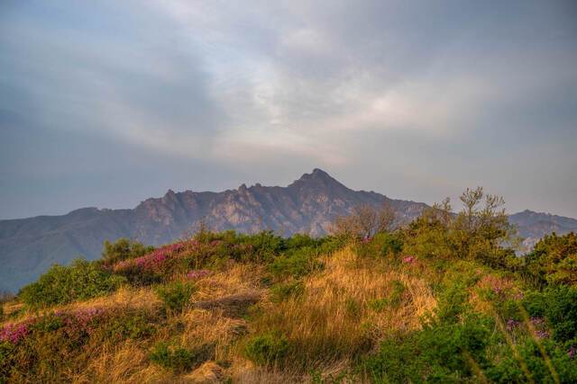 활성산 정상에서 본 월출산 전경.