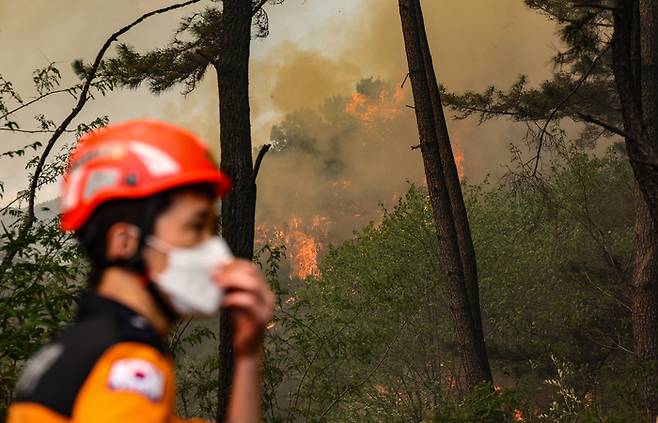 [사진 = 연합뉴스]