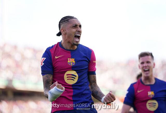 하피냐./게티이미지코리아