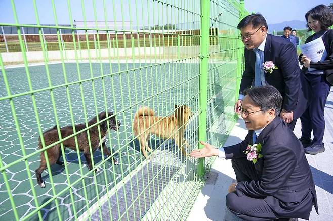 광주시가 유기동물의 새로운 가족이 되어준 시민들에게 1년치 펫보험료 전액을 지원한다.