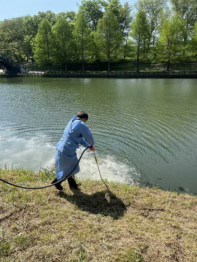담양군, 제24회 담양 대나무축제 대비 집중 방역소독