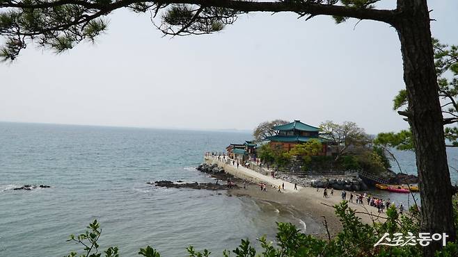 간조 때 뭍과 이어진 서산 간월암의 모습. 간월암은 밀물이 들어오면 암자 모습이 물에 든 연꽃과 같다고 연화대(蓮花臺)라고 불렸다 충남|김재범 기자 oldfield@donga.com