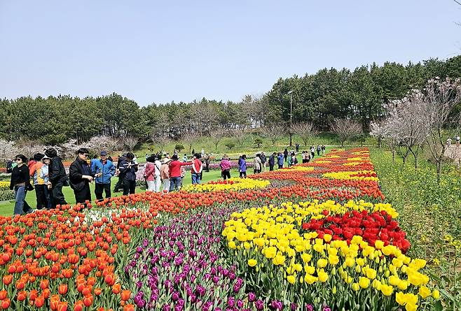관련 이미지 1