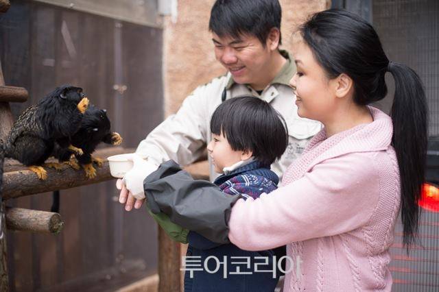 사진/홍콩오션파크 제공