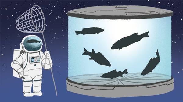 일러스트=김성규