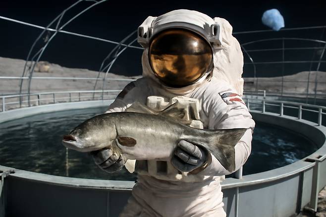 달에서 우주인이 양식한 농어를 들고 있는 모습의 상상도. 프랑스 과학자들이 달에서 농어를 양식하는 연구를 하고 있다./챗GPT DALLE