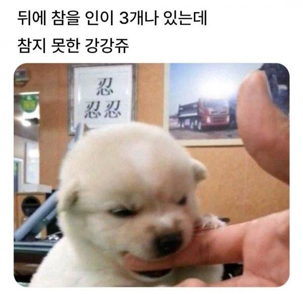 뒤에 참을 인이 3개나 있는데