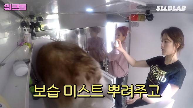 OJmJDW 대형견 목욕알바 했다가 미친 시급에 깜짝 놀란 알바생 근황 ㄷㄷㄷ..JPG 대형견 목욕알바 했다가 미친 시급에 깜짝 놀란 알바생 ㄷㄷㄷ..JPG