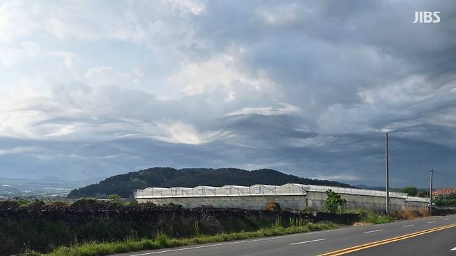 어제(1일) 아침 8시 30분쯤 제주시 한립읍에서 목격된 구름 (사진, 시청자 제공)