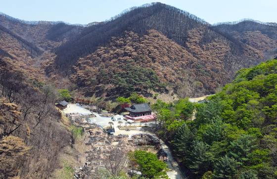 하늘에서 내려다본 의성 고운사. 가운데 보이는 전각이 대웅보전이다. 바로 뒷산이 다 탔는데도 대웅보전은 기와 한 장도 다치지 않았다.
