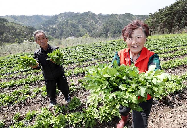 사진=영양군 제공