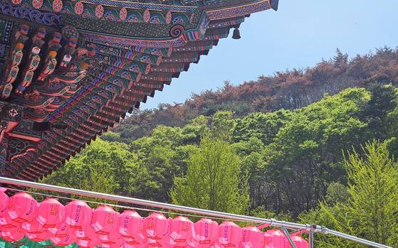 A scenic spot in Uiseong and Andong, North Gyeongsang, which suffered wildfire damage in April. [JOONGANG ILBO]
