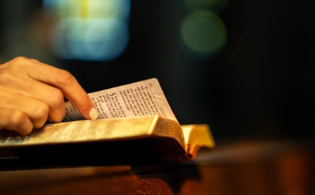 게티이미지뱅크