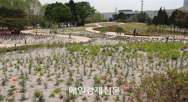 서울 용산 미군 기지가 일부 반환되며 조성된 어린이정원 전경. [매경DB]
