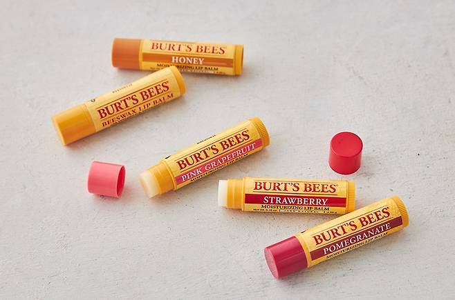 버츠비] 립밤 7종 - 마켓컬리