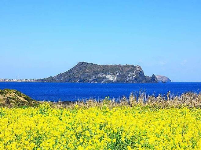 게티이미지뱅크