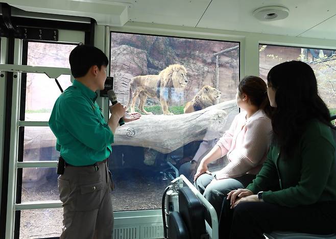 ‘굿모닝 사파리 스페셜 트램’