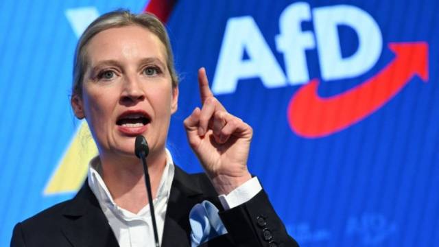 알리스 바이델 독일을 위한 대안(AfD) 공동대표. 연합뉴스
