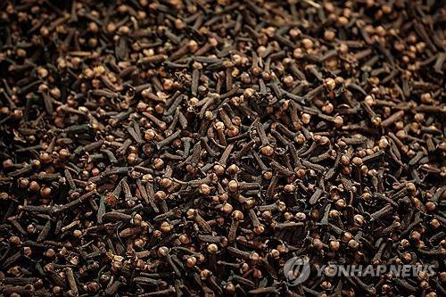 향신료 정향 [AFP=연합뉴스. 재판매 및 DB 금지]