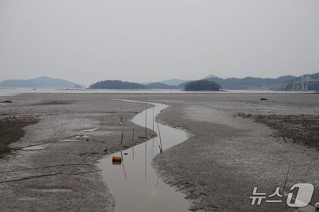 산행리에서 곤우로 넘어가는 길목의 원둑에서 바라 본 갯벌 풍경. 낙조가 아름다운 지역이다. 원둑 바깥은 갯벌이 물고기를 키우고, 안쪽은 간척지가 되어 사람을 키운다. 2025.5.2/뉴스1 ⓒ News1 조영석 기자