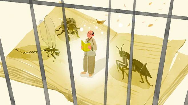 1929년 12월 신간회 민중대회 사건으로 구속된 임꺽정 작가 홍명희는 읽을 책이 없어 고통스럽다며 '파브르 곤충기'부터 차입해달라는 편지를 아들에게 썼다. '곤충기'는 당대 지식인들에게 인기있는 과학책이자 '이념서적'이었다./일러스트=조선디자인랩 이연주