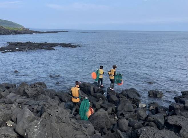 제주 해녀들이 물질에 나서고 있다. Melissa Ilardo/제공.