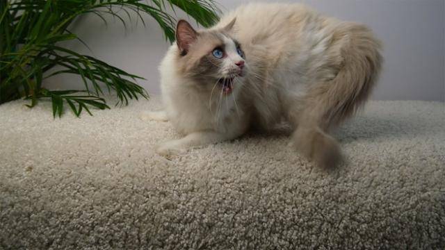 게티이미지뱅크