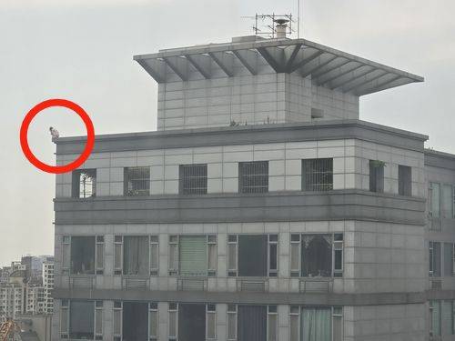 2일 강남구 역삼동의 한 건물 옥상 끝에 한 여성이 앉아있다. 연합뉴스