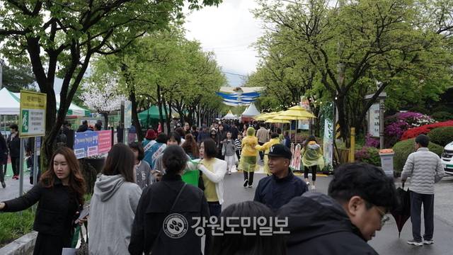 ▲ 3일 오전 12시쯤 ‘2025 청춘양구 곰취 축제’가 열리는 양구 서천레포츠 공원에는 일찍부터 많은 관광객들이 방문하고 있다. 박재혁 기자