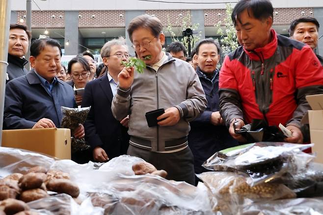 ▲생 어수리 맛보는 이재명 후보 [연합뉴스]