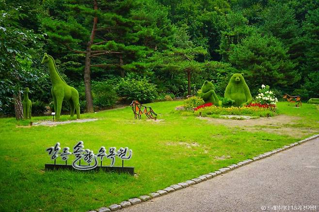 23개 테마와 22만본의 식물로 조성된 강릉솔향수목원. /사진=한국관광공사