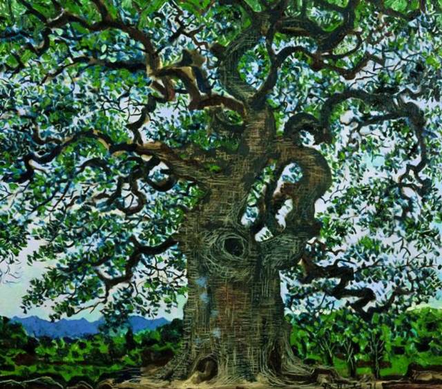 ▲ <느티나무>. ⓒ민정기