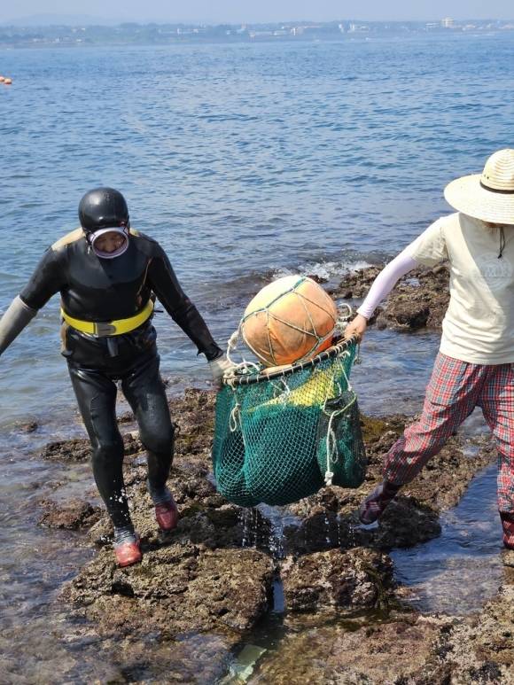 제주 해녀들이 해산물을 채취해 끌어 올리는 모습  미국 유타대 제공