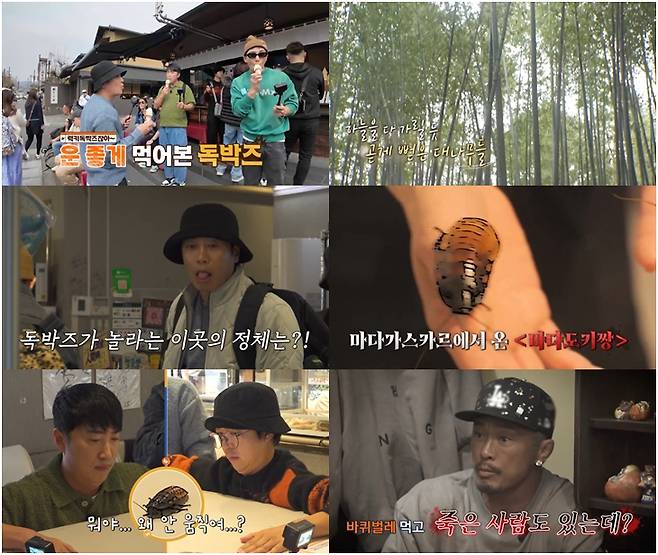 ▲ 제공| 채널S, SK브로드밴드, K·star, NXT