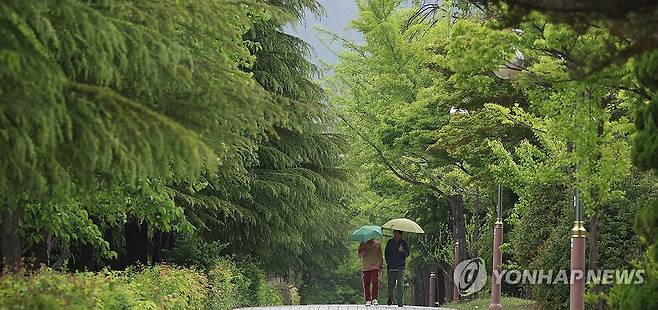 5월 1일 봄비 (창원=연합뉴스) 김동민 기자 = 1일 오후 경남 창원시 성산구 용호동 일대에 우산을 쓴 시민이 걸어가고 있다. 2025.5.1 image@yna.co.kr