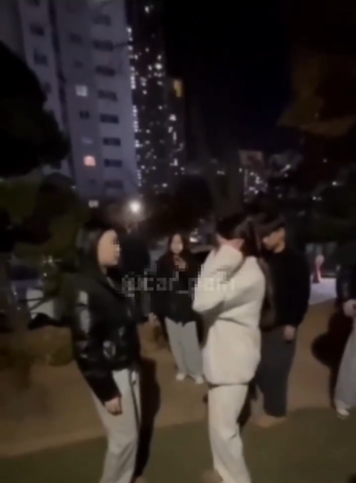 사회관계망서비스(SNS)에서 확산되고 있는  ‘인천 송도 11년생 학폭 영상’이라는 제목의 동영상. /SNS 갈무리