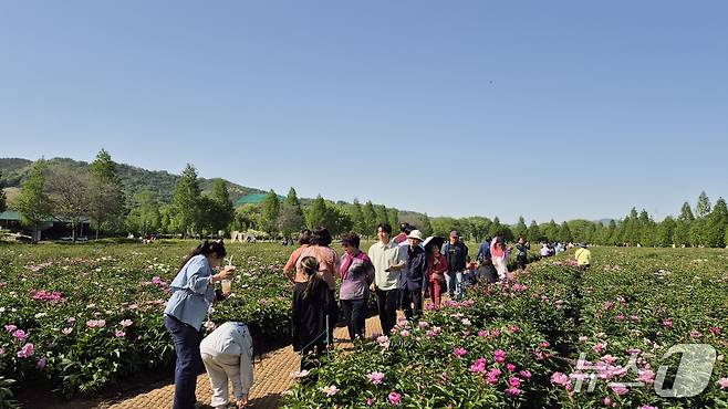 합천군 핫들생태공원의 작약꽃(합천군 제공. 재판매 및 DB금지). 2025.5.4