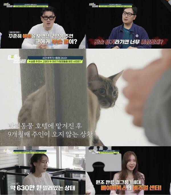 ⓒ채널A '탐정들의 영업비밀'