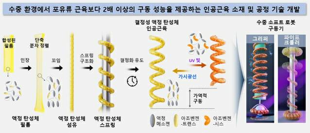 결정성 액정 탄성체 스프링 인공근육 연구 개괄도.(그림=화학연)
