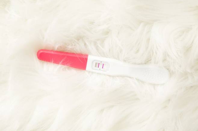 /사진=게티이미지뱅크