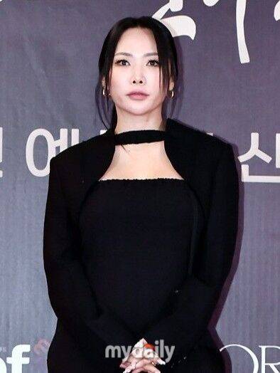 허니제이 / 마이데일리