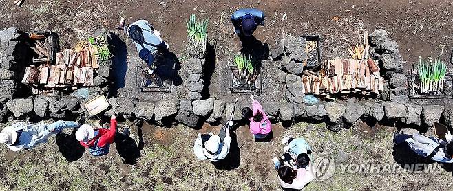 파릇파릇 대파밭에서 만드는 추억 (서귀포=연합뉴스) 박지호 기자 = 4일 오전 제주 서귀포시 표선면 성읍리 보롬왓 농장에서 열린 '파릇파릇 대파축제'에서 입장객들이 직접 수확한 대파를 장작불에 구워 먹고 있다. 2025.5.4 jihopark@yna.co.kr