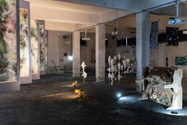 일산수지에서 열리고 있는