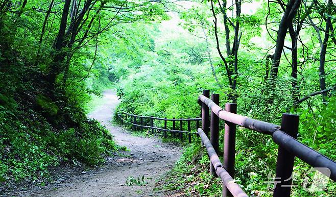 문경의 관음리와 충주의 미륵리를 잇는 고갯길 하늘재 풍경.(충주시 제공. 재판매 및 DB금지)/뉴스1